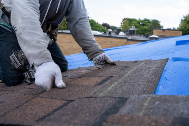 Professional Roofing Contractor in Negaunee, MI