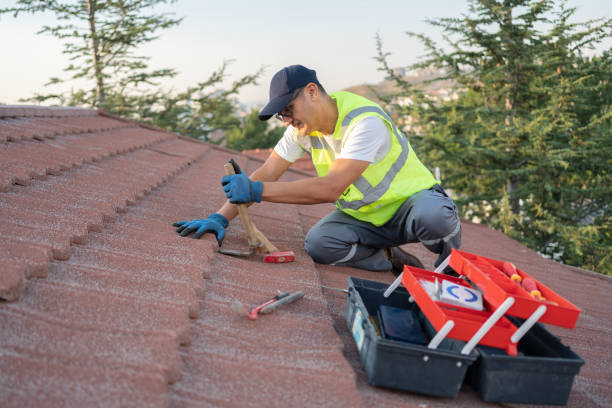 Best Metal Roofing Contractor  in Negaunee, MI